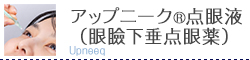 アップニーク®点眼液